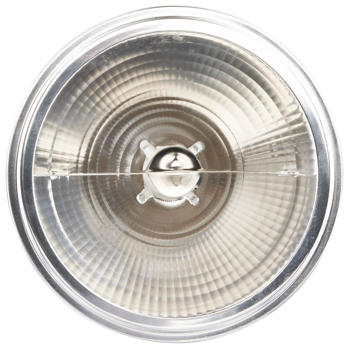 Satco S4686 Light Bulb, Clear