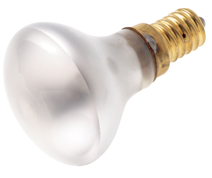 Satco S4706 Light Bulb, Frost