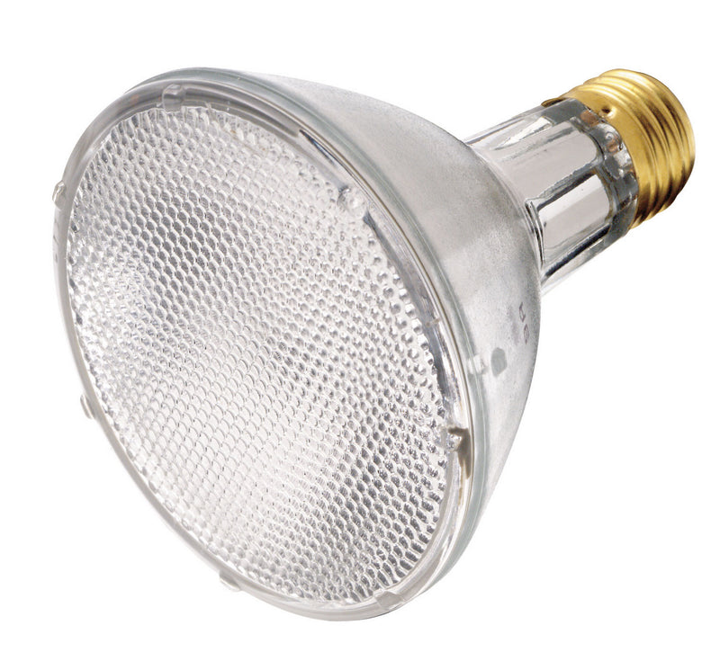 Satco S4879 Light Bulb, Clear