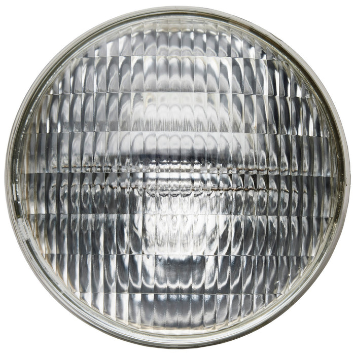 Satco S4963 Light Bulb, Clear