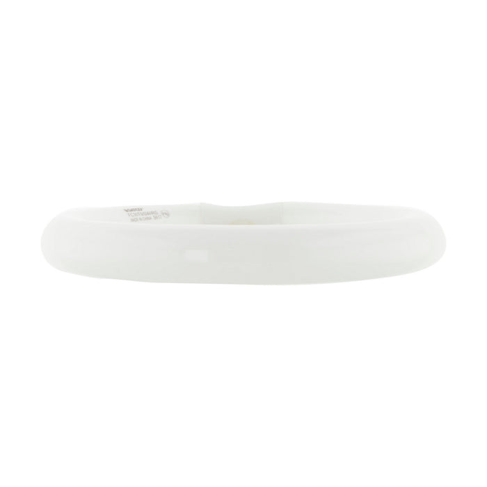 Satco S6507 Light Bulb, Soft White