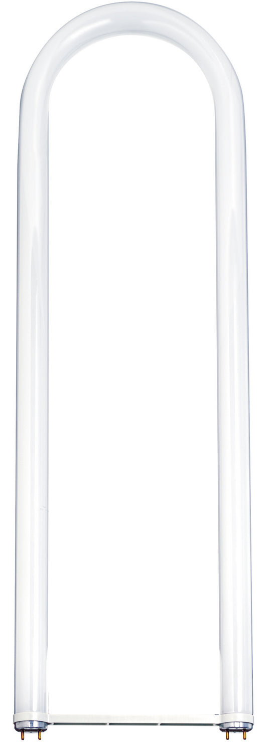 Satco S6554 Light Bulb, Frost