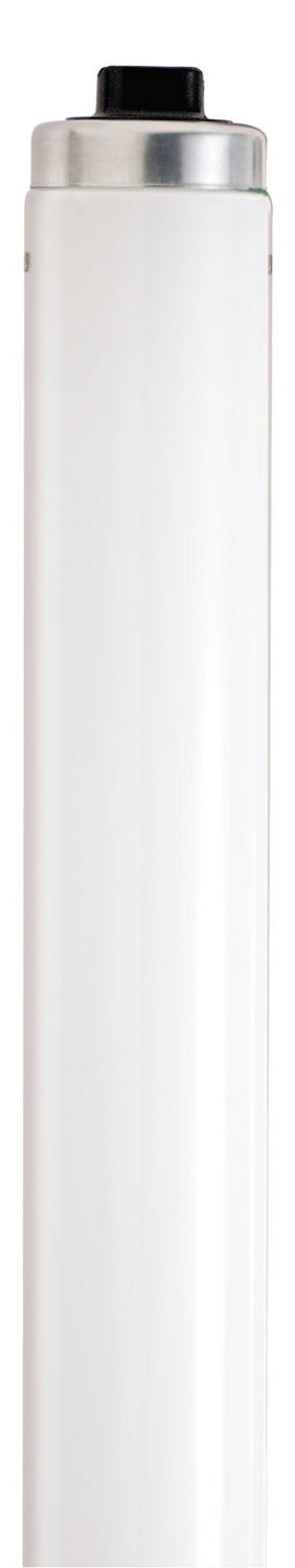 Satco S6589 Light Bulb, Frost