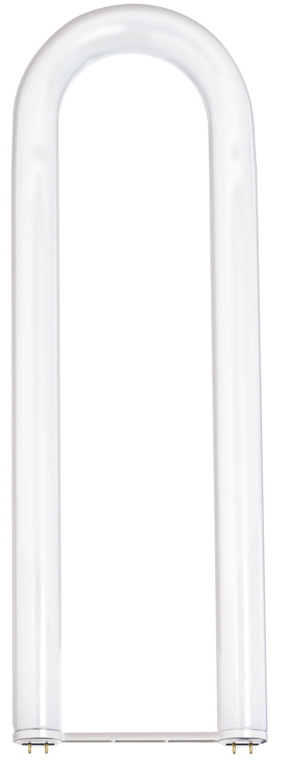 Satco S6593 Light Bulb, Frost