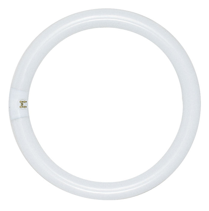 Satco S6597 Light Bulb, Frost