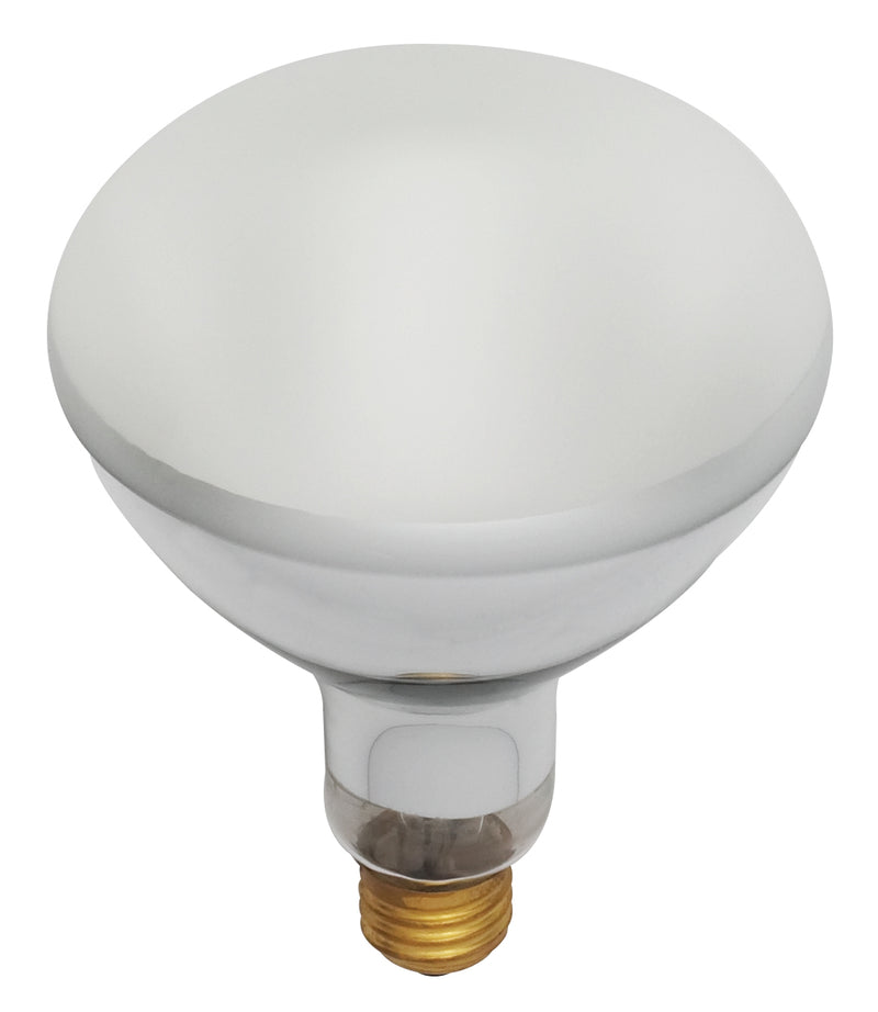 Satco S7006 Light Bulb, Frost
