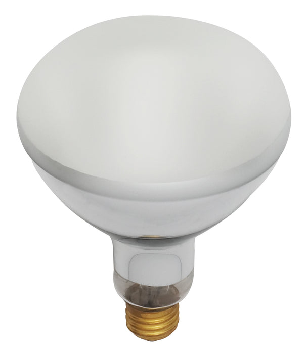 Satco S7006 Light Bulb, Frost