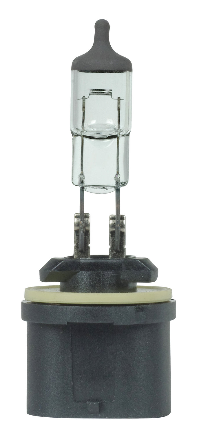 Satco S7156 Light Bulb, Black Crown