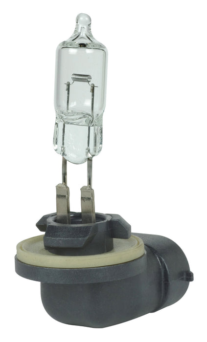 Satco S7158 Light Bulb, Clear