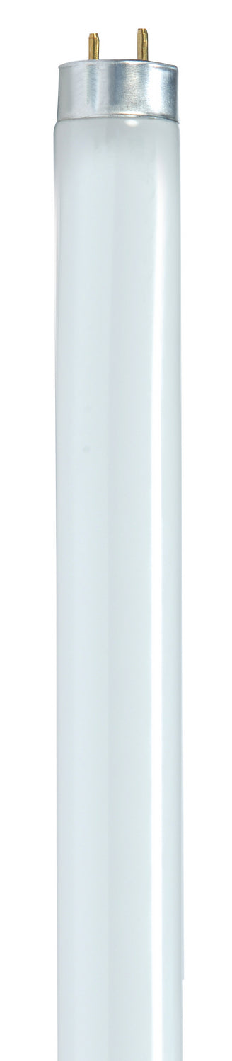 Satco S8424 Light Bulb, Gloss White