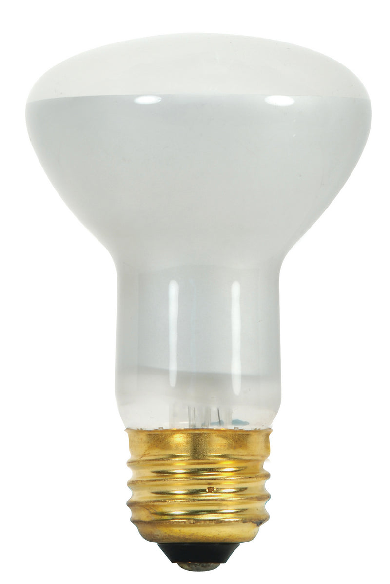 Satco S8519 Light Bulb, Frost