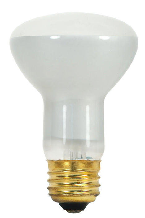 Satco S8519 Light Bulb, Frost