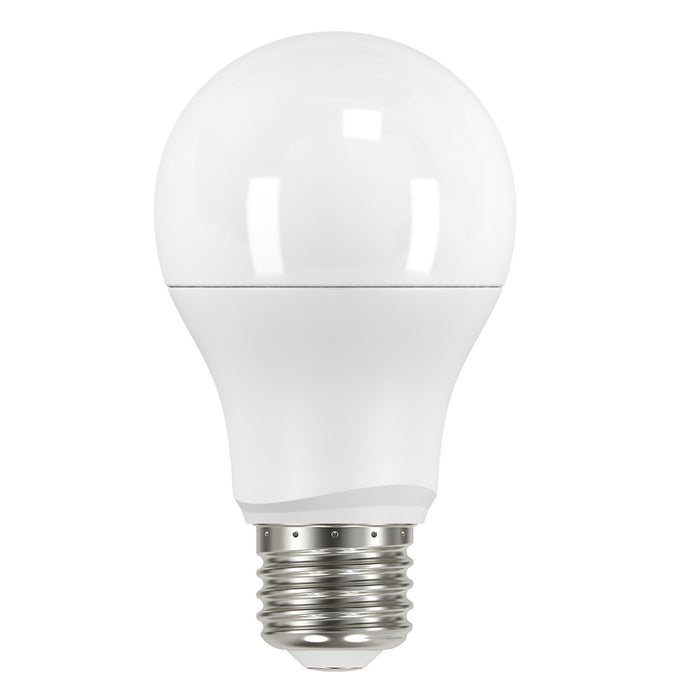 Satco S9593 Light Bulb, Frost