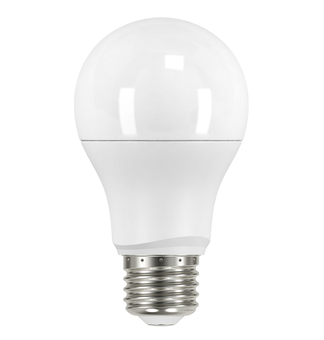 Satco S9594 Light Bulb, Frost