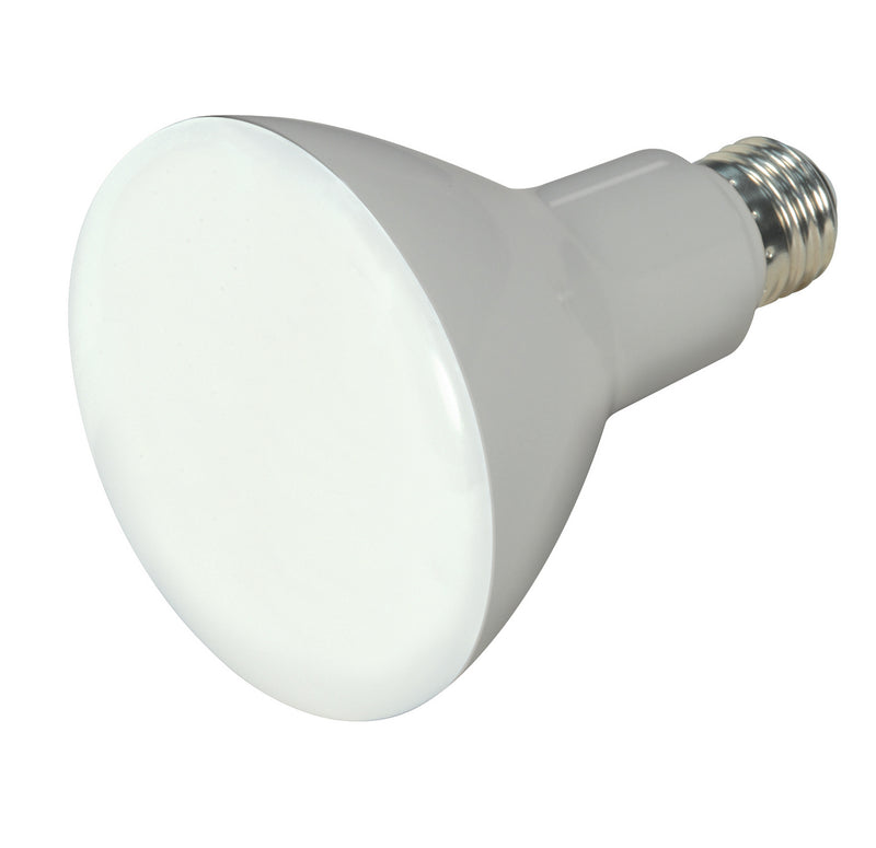 Satco S9621 Light Bulb, Frost