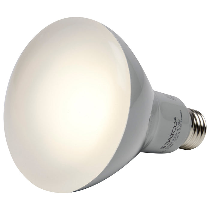 Satco S9622 Light Bulb, Frost