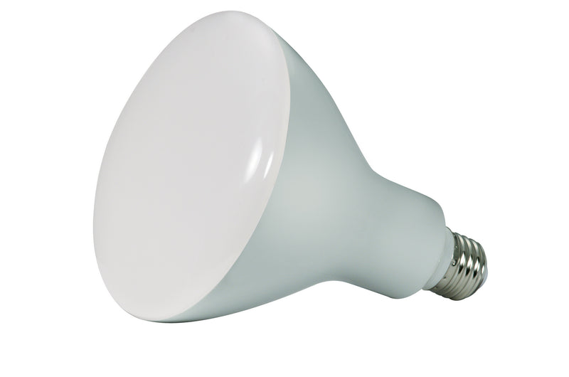 Satco S9641 Light Bulb, Frost