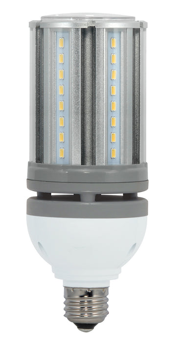 Satco S9678 Light Bulb, Clear