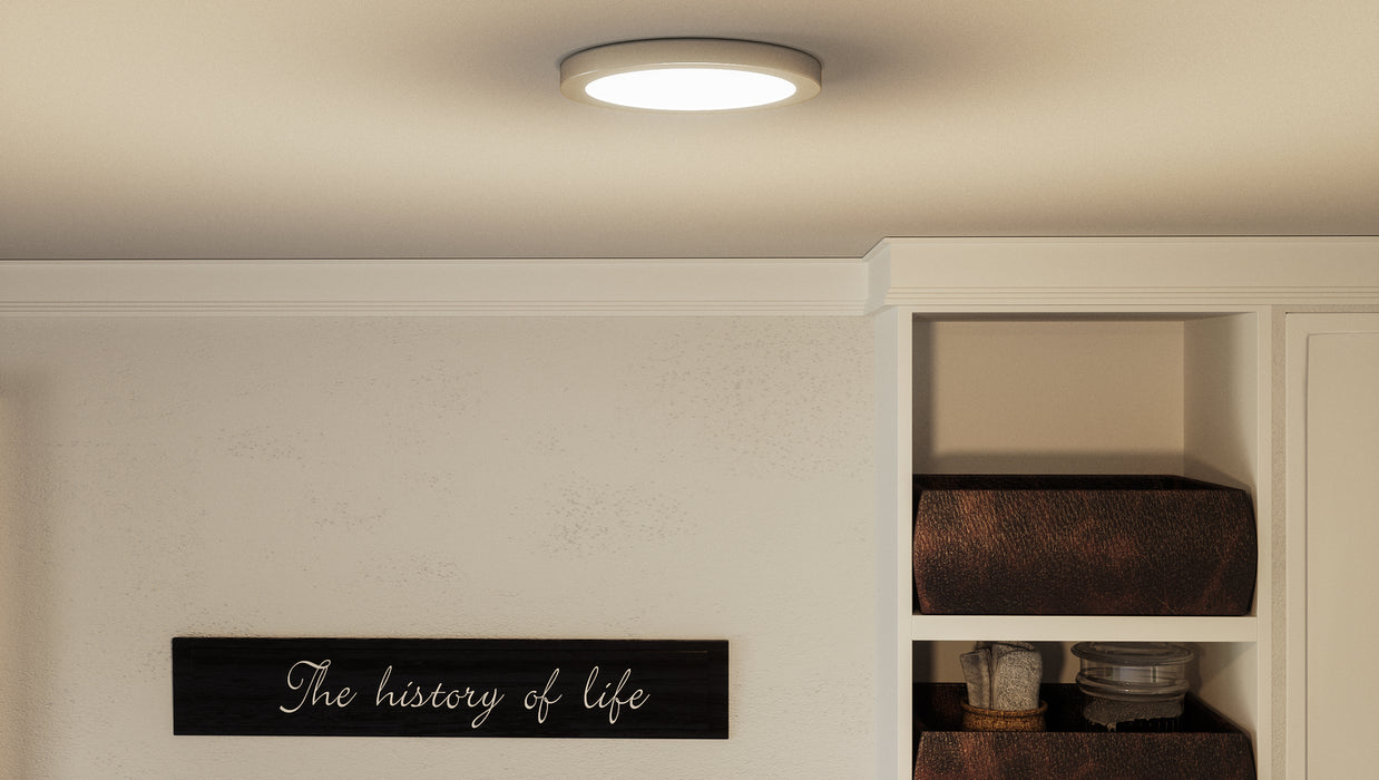 Quoizel OST1708BN LED Flush Mount, Brushed Nickel