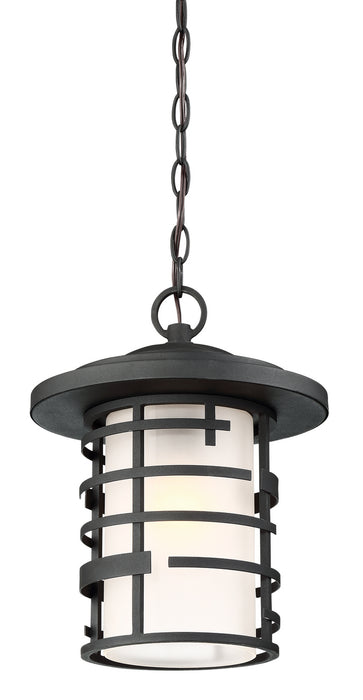 Nuvo Lighting 60-6405 One Light Hanging Lantern, Textured Black
