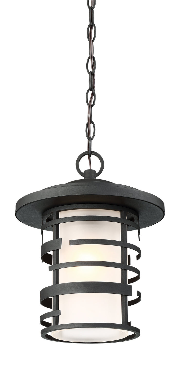 Nuvo Lighting 60-6405 One Light Hanging Lantern, Textured Black