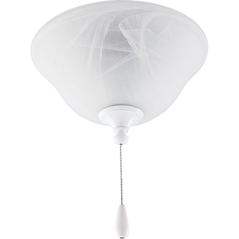 Progress Lighting P2612-01WB LED Fan Light Kit