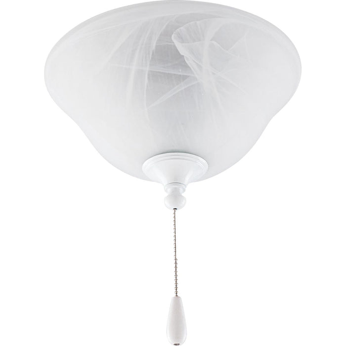Progress Lighting P2612-01WB LED Fan Light Kit