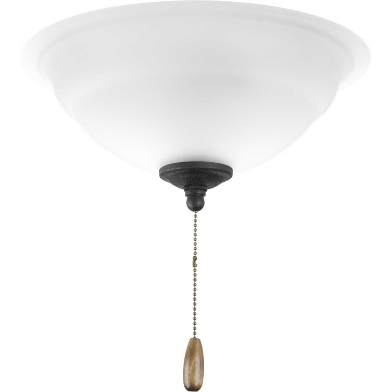 Progress Lighting P2645-01WB LED Fan Light Kit