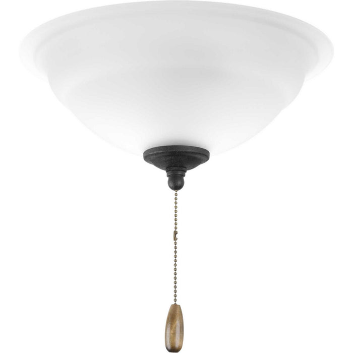 Progress Lighting P2645-01WB LED Fan Light Kit