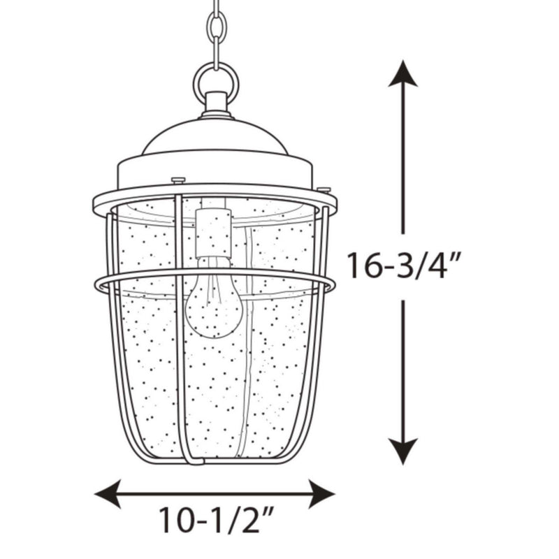 Progress Lighting P550025-031 One Light Hanging Lantern, Black