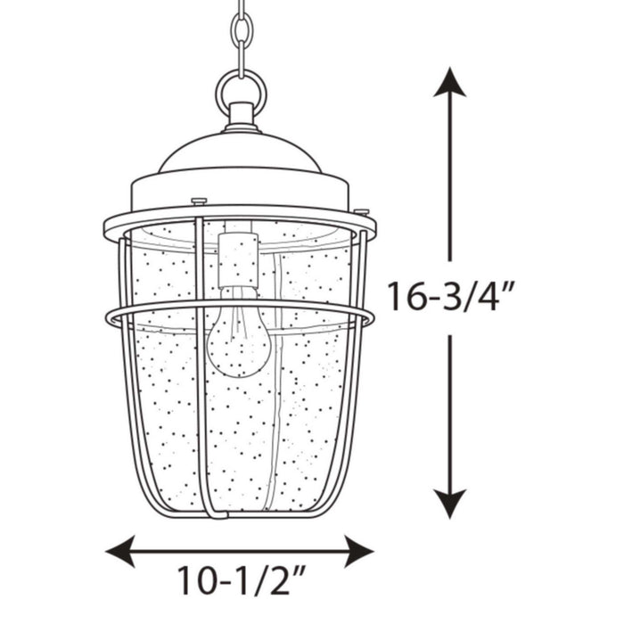 Progress Lighting P550025-031 One Light Hanging Lantern, Black