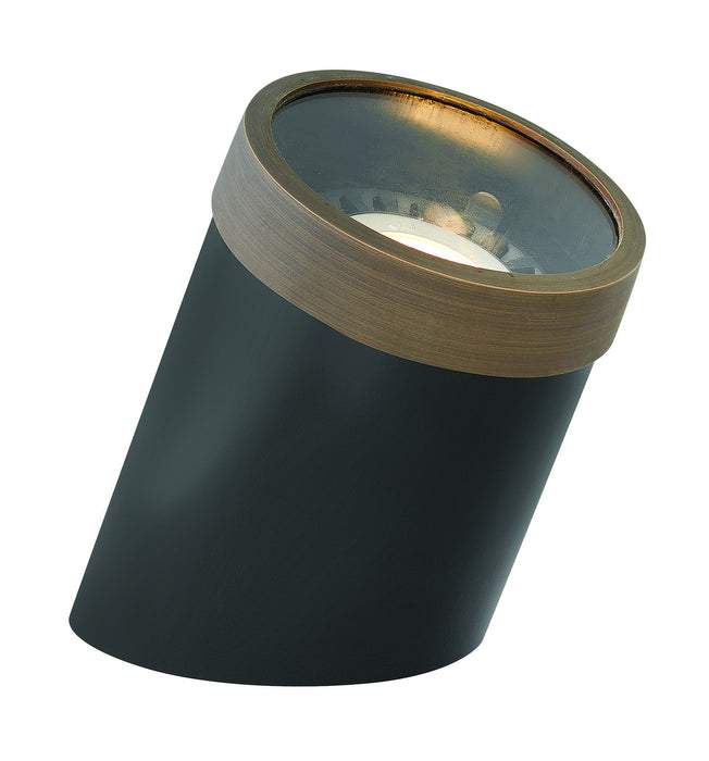 Hinkley 1598MZ-FT LED Well Light, Matte Bronze