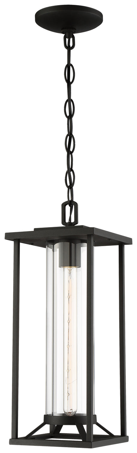 Minka-Lavery 72474-66 One Light Chain Hung Lantern, Coal