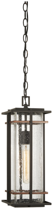 Minka-Lavery 72494-68 One Light Outdoor Chain Hung Lantern, Coal W/Antique Copper Accents