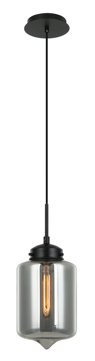 Matteo Lighting C41401SM One Light Pendant, Smoke