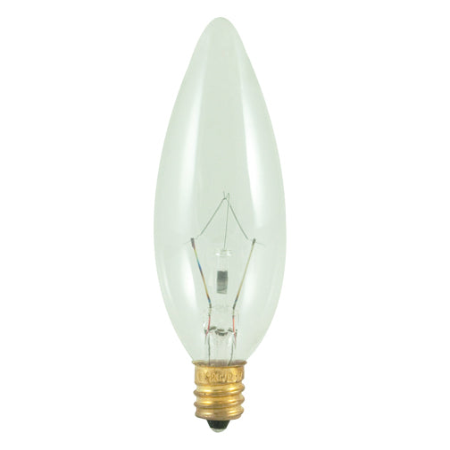 Bulbrite 400025 Light Bulb, Clear