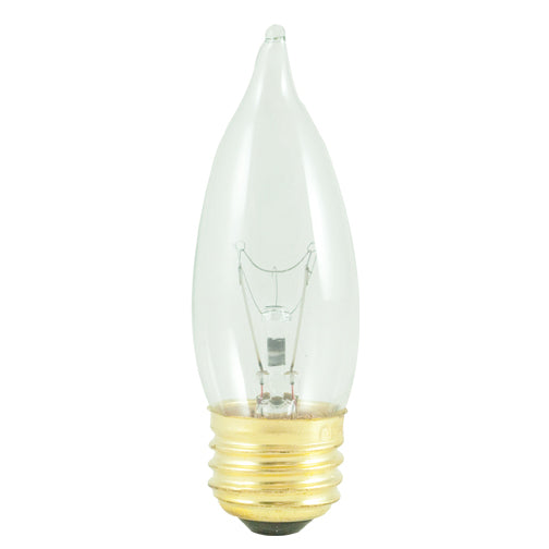 Bulbrite 408040 Light Bulb, Clear