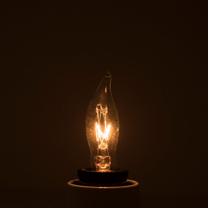 Bulbrite 403307 Light Bulb, Clear