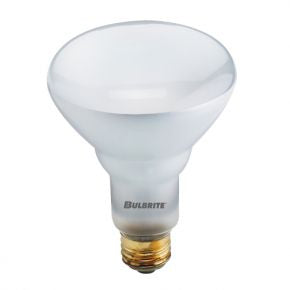 Bulbrite 695065 Light Bulb, Clear