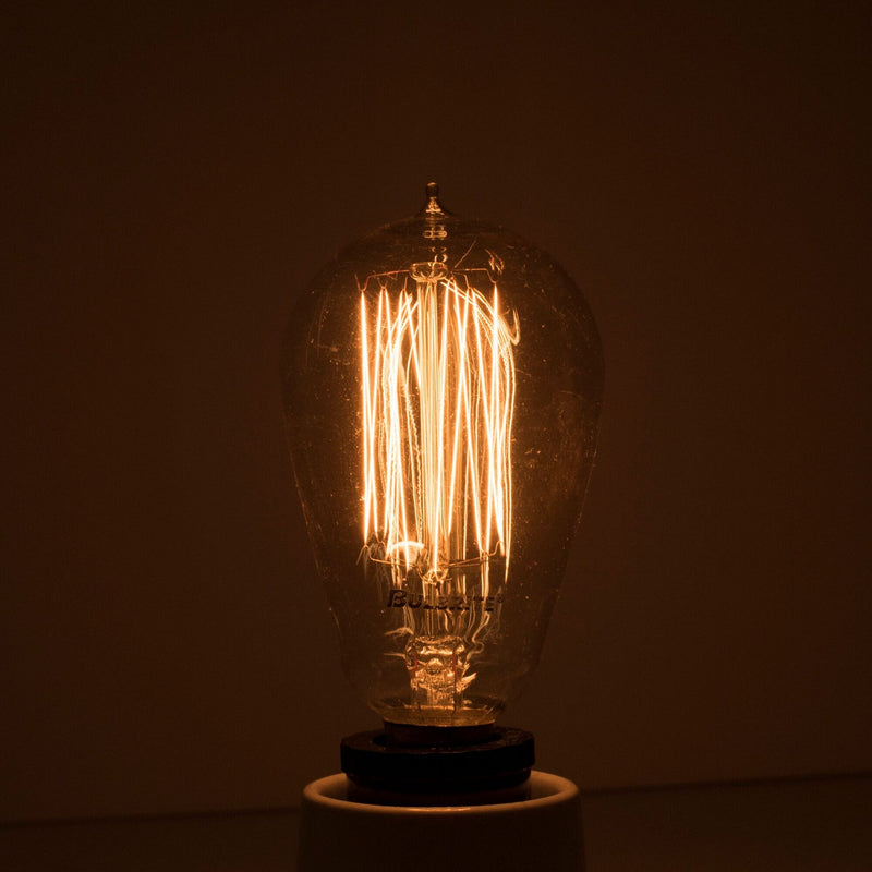 Bulbrite 132510 Light Bulb, Antique