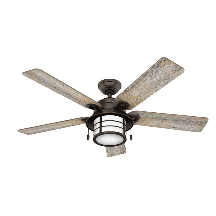 Hunter 59273 54" Ceiling Fan, Onyx Bengal