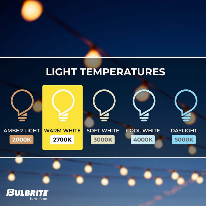Bulbrite 810054 String Light, Black