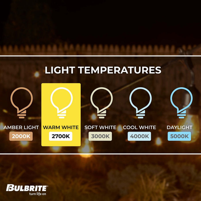 Bulbrite 810006 String Light, Black