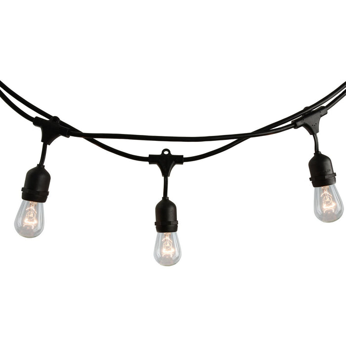 Bulbrite 810002 String Light, Black