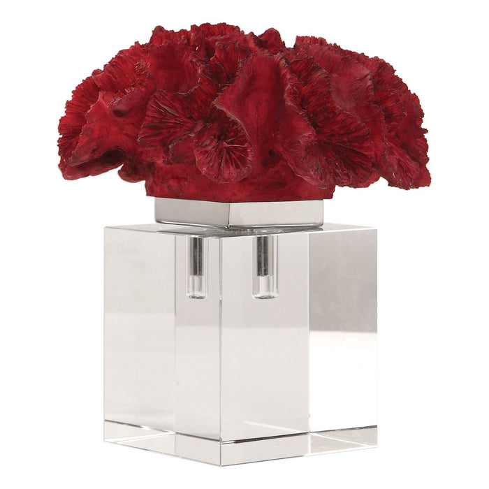Uttermost 18601 Cluster, Red Coral