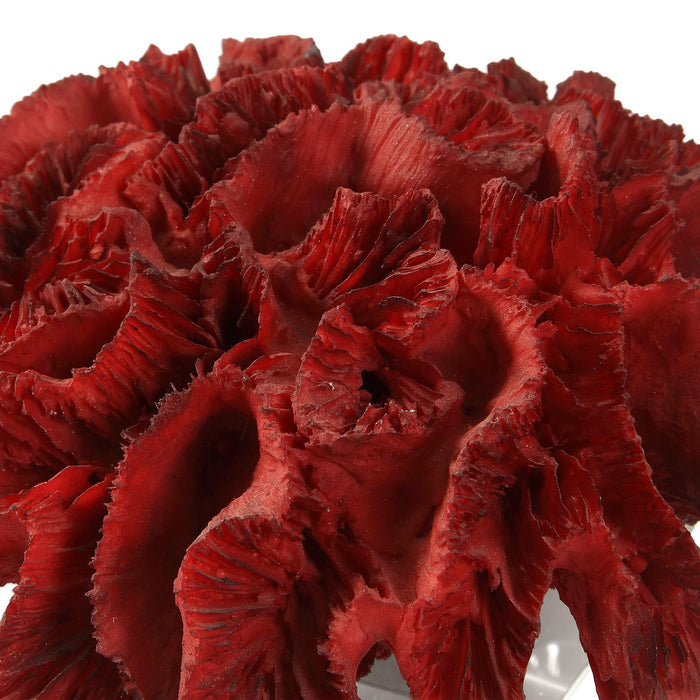 Uttermost 18601 Cluster, Red Coral
