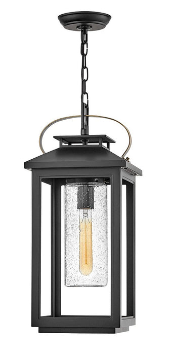 Hinkley 1162BK LED Hanging Lantern, Black