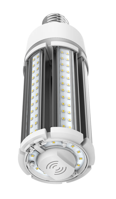 Satco S8989 Light Bulb, Clear