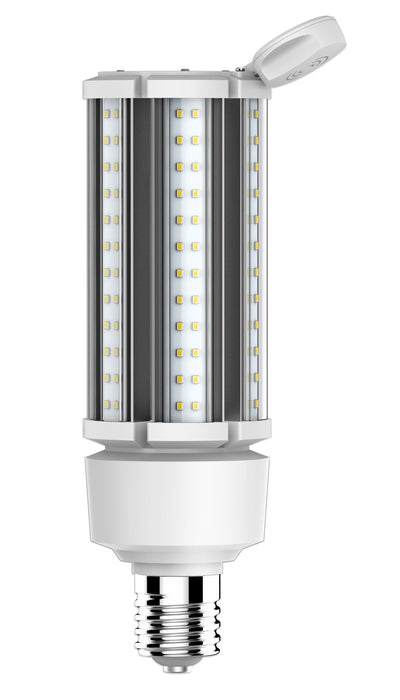 Satco S8989 Light Bulb, Clear