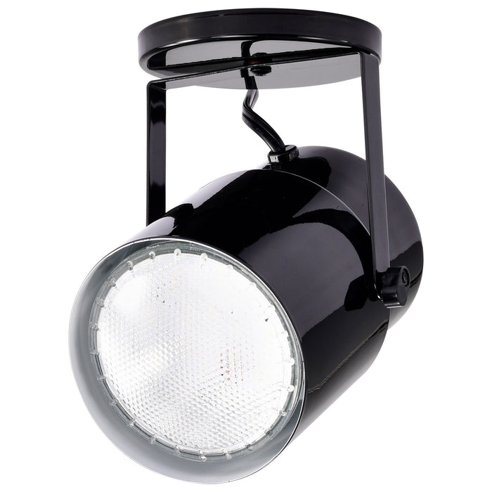 Nuvo Lighting SF77-394 One Light Plant Lamp, Black / Steel